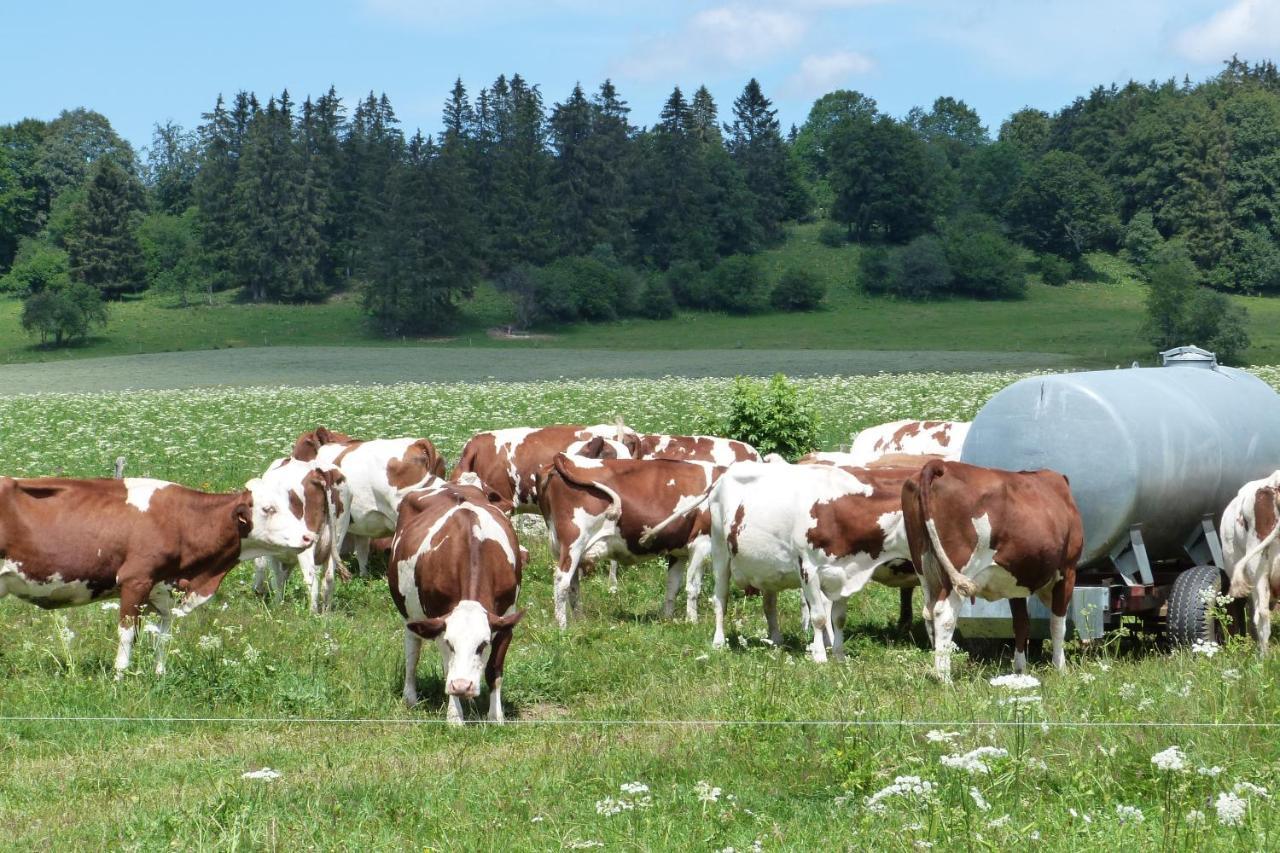 La Grange De Haute-Joux Les Fourgs Zewnętrze zdjęcie